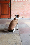Tadazhi Female Dog Wool Sweater-Dog Jumper-tadazhi- Silver Circle Pets