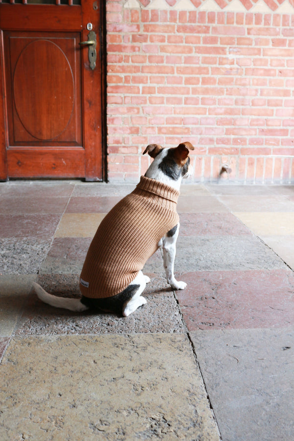 Tadazhi Female Dog Wool Sweater-Dog Jumper-tadazhi- Silver Circle Pets