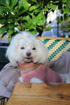 Tadazhi Female Dog Wool Sweater-Dog Jumper-tadazhi- Silver Circle Pets