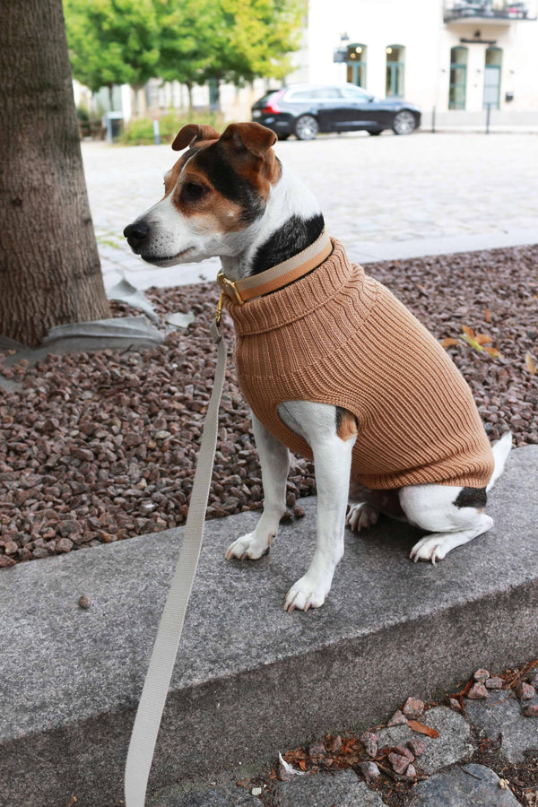 Tadazhi Female Dog Wool Sweater-Dog Jumper-tadazhi- Silver Circle Pets