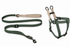 Tadazhi Matching Luna Harness & Leash Set | Recycled Materials-Dog Leash-tadazhi- Silver Circle Pets