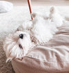 Tadazhi Poespas Dog Bed-Dog Bed-tadazhi- Silver Circle Pets