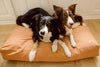 Tadazhi Tobine Dog Bed-Dog Bed-tadazhi- Silver Circle Pets