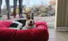 Tadazhi Tobine Dog Bed-Dog Bed-tadazhi- Silver Circle Pets