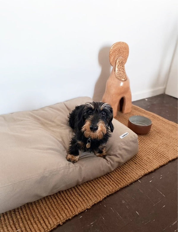 Tadazhi Tobine Dog Bed-Dog Bed-tadazhi- Silver Circle Pets