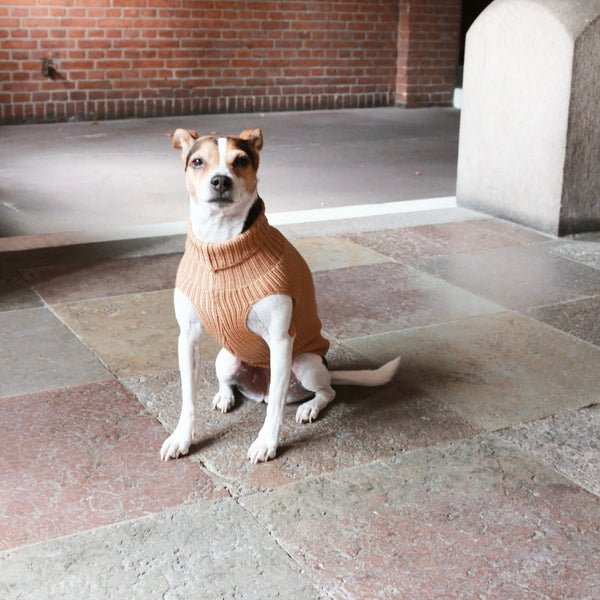 Tadazhi Unisex Wool Dog Sweater-Dog Jumper-tadazhi- Silver Circle Pets