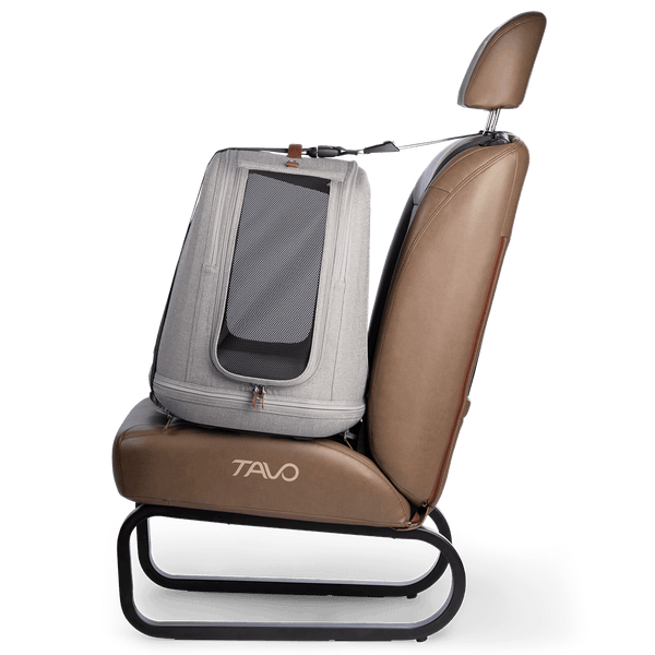 Tavo Pets Crispin Pet Travel Crate | Impact Tested | 3 Sizes-Travel Crate-Tavo Pets- Silver Circle Pets