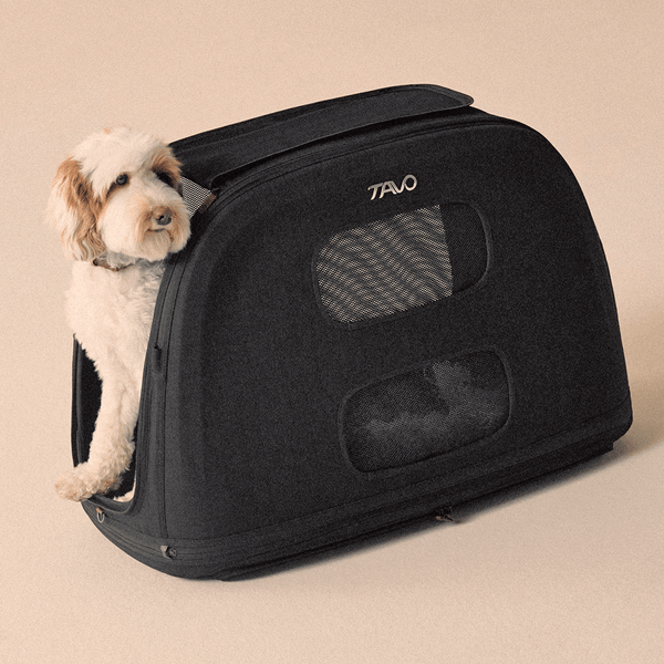 Tavo Pets Crispin Pet Travel Crate | Impact Tested | 3 Sizes-Travel Crate-Tavo Pets- Silver Circle Pets