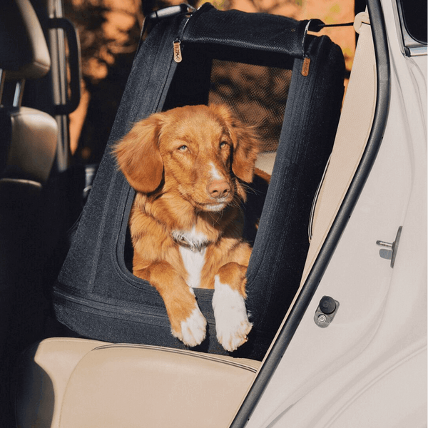 Tavo Pets Crispin Pet Travel Crate | Impact Tested | 3 Sizes-Travel Crate-Tavo Pets- Silver Circle Pets