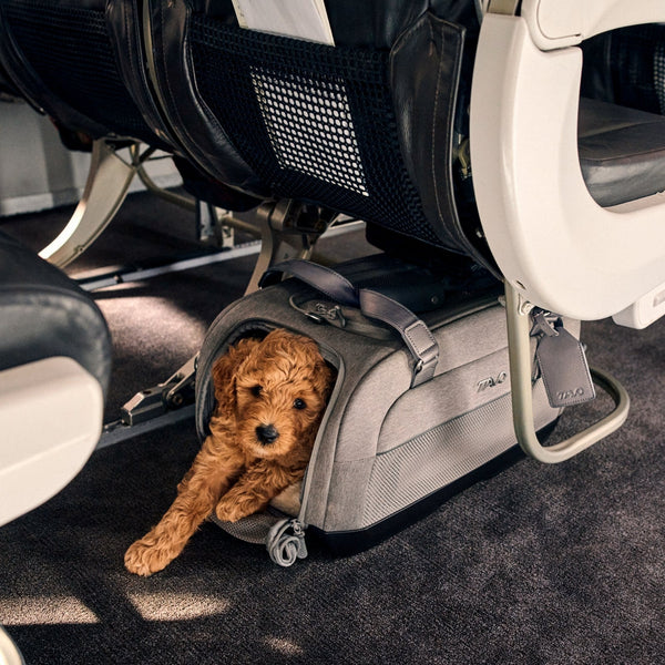 Tavo Pets Dupree II ISOFIX Pet Car Seat & Pet Carrier | Airline Carry-On-Pet Carrier-Tavo Pets- Silver Circle Pets