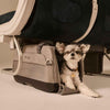 Tavo Pets Dupree II ISOFIX Pet Car Seat & Pet Carrier | Airline Carry-On-Pet Carrier-Tavo Pets- Silver Circle Pets