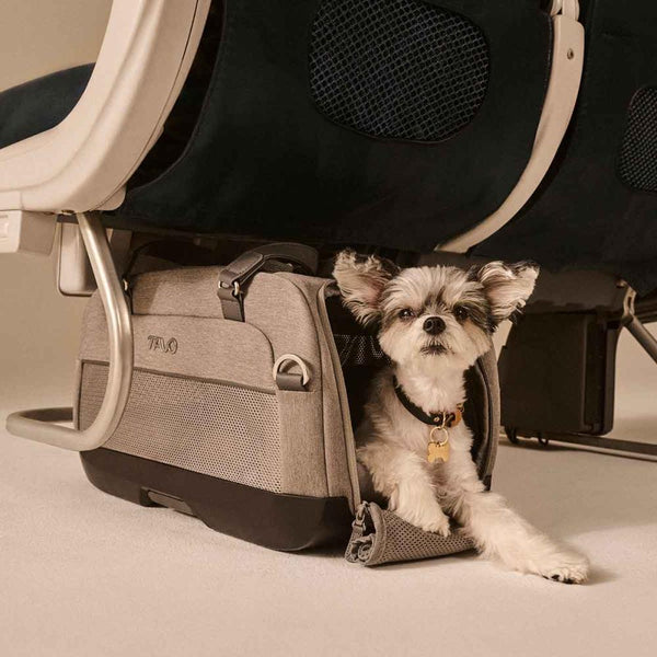 Tavo Pets Dupree II ISOFIX Pet Car Seat & Pet Carrier | Airline Carry-On-Pet Carrier-Tavo Pets- Silver Circle Pets
