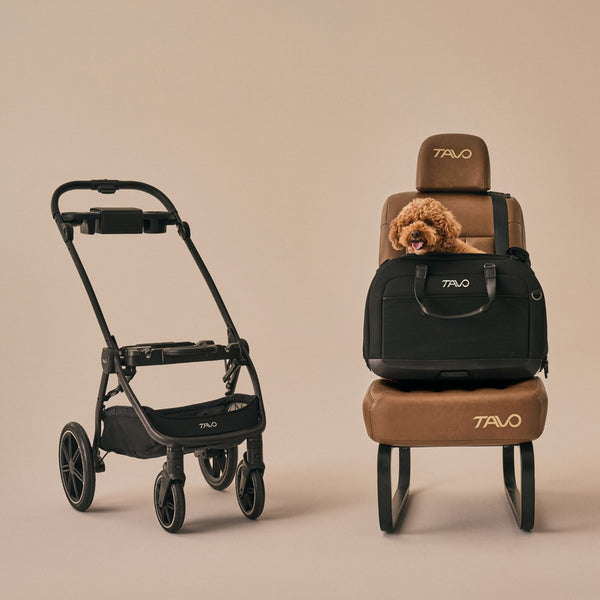 Tavo Pets Hendrick Pet Car Seat and Flexible Carrier | ISOFIX | Side Impact Protection-Pet Car Seat-Tavo Pets- Silver Circle Pets