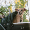 Tavo Pets Maeve Pet Car Seat Including Base | Side Impact Protection-Pet Car Seat-Tavo Pets- Silver Circle Pets