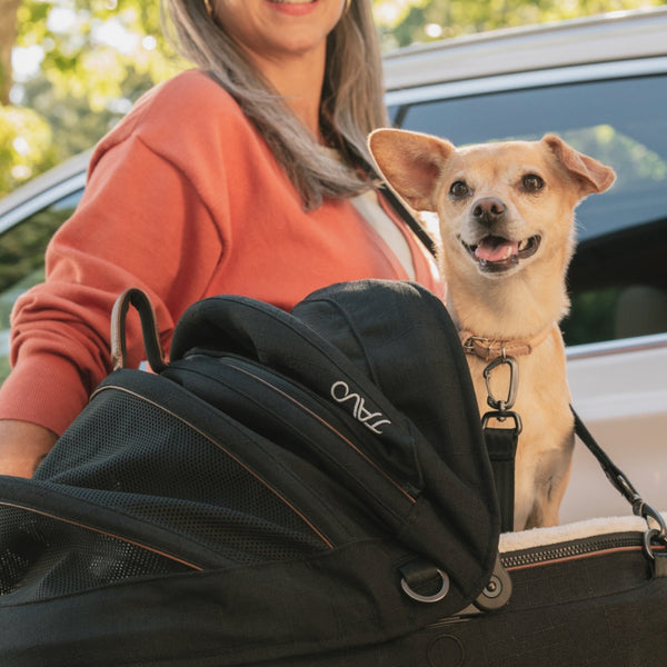 Tavo Pets Maeve Pet Car Seat Including Base | Side Impact Protection-Pet Car Seat-Tavo Pets- Silver Circle Pets