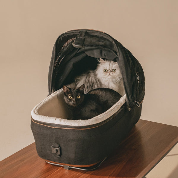 Tavo Pets Maeve Pet Car Seat Including Base | Side Impact Protection-Pet Car Seat-Tavo Pets- Silver Circle Pets