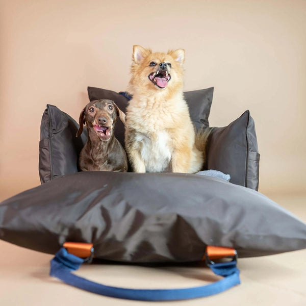 Luther Bennett ISOFIX Travel Dog Car Seat 2.0