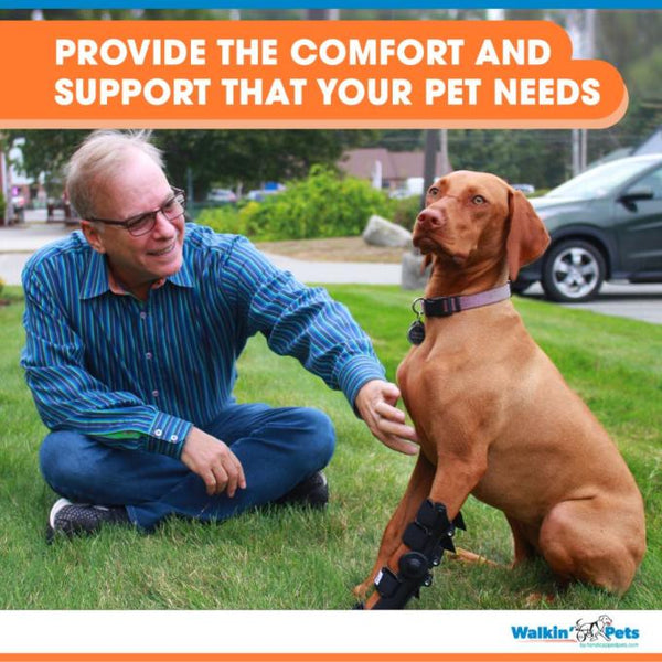 Walkin’ Wheels - Adjustable Splint-Dog Splint-Walkin Wheels- Silver Circle Pets