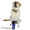 Walkin’ Wheels - All-Weather Dog Wellies Boot Liners – Set-Dog Boot Liners-Walkin Wheels- Silver Circle Pets
