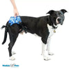 Walkin Wheels® - Buddy Up Rear Harness-Dog Wheelchairs-Walkin Wheels- Silver Circle Pets