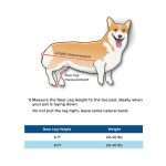 Walkin’ Wheels CORGI Wheelchair-Dog Wheel Chair-Walkin Wheels- Silver Circle Pets