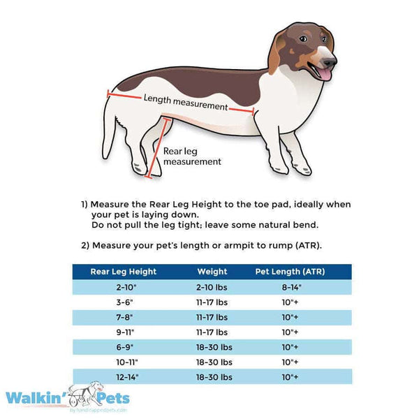 Walkin’ Wheels DACHSHUND Wheelchair-Dog Wheel Chair-Walkin Wheels- Silver Circle Pets