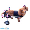 Walkin Wheels® Front Vest-Dog Wheel Chair-Walkin Wheels- Silver Circle Pets