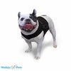 Walkin Wheels® Front Vest-Dog Wheel Chair-Walkin Wheels- Silver Circle Pets