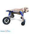 Walkin’ Wheels Full Support/4-Wheel MEDIUM (11 to 30 kg)-Dog Wheel Chair-Walkin Wheels- Silver Circle Pets