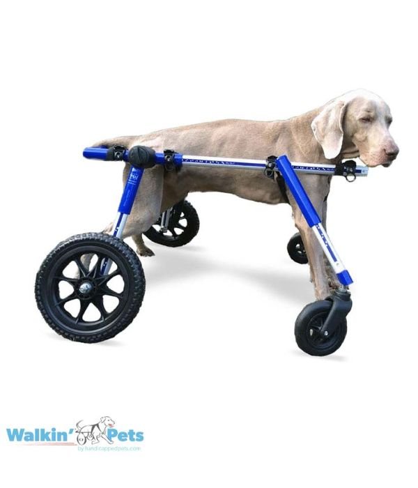 Walkin’ Wheels Full Support/4-Wheel MEDIUM (11 to 30 kg)-Dog Wheel Chair-Walkin Wheels- Silver Circle Pets