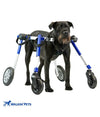Walkin’ Wheels Full Support/4-Wheel MEDIUM (11 to 30 kg)-Dog Wheel Chair-Walkin Wheels- Silver Circle Pets