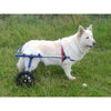 Walkin Wheels® LARGE Rear Dog Wheelchair (31 to 82 kg)-Dog Wheel Chair-Walkin Wheels- Silver Circle Pets