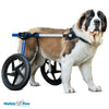 Walkin Wheels® LARGE Rear Dog Wheelchair (31 to 82 kg)-Dog Wheel Chair-Walkin Wheels- Silver Circle Pets