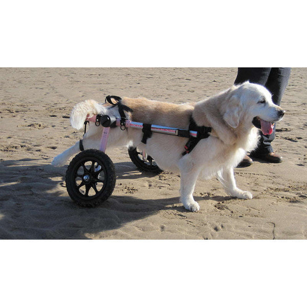 Walkin Wheels® MEDIUM Rear Dog Wheelchair (11 to 30kg)-Dog Wheel Chair-Walkin Wheels- Silver Circle Pets
