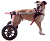 Walkin Wheels® MEDIUM Rear Dog Wheelchair (11 to 30kg)-Dog Wheel Chair-Walkin Wheels- Silver Circle Pets