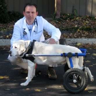 Walkin Wheels® MEDIUM Rear Dog Wheelchair (11 to 30kg)-Dog Wheel Chair-Walkin Wheels- Silver Circle Pets