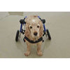 Walkin Wheels® MEDIUM Rear Dog Wheelchair (11 to 30kg)-Dog Wheel Chair-Walkin Wheels- Silver Circle Pets