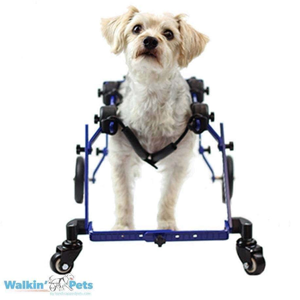 Walkin Wheels® MINI Front Wheel Attachment-Dog Wheelchairs-Walkin Wheels- Silver Circle Pets