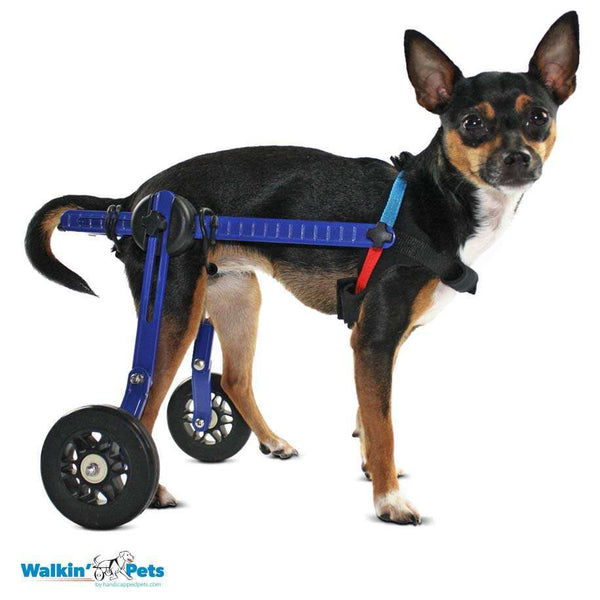 Walkin Wheels® MINI Rear Dog Wheelchair (up to 3.5kg)-Dog Wheelchairs-Walkin Wheels- Silver Circle Pets