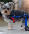 Walkin Wheels® MINI Rear Dog Wheelchair (up to 3.5kg)-Dog Wheelchairs-Walkin Wheels- Silver Circle Pets