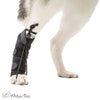 Walkin Wheels® - Rear No-Knuckling Training Sock-Dog Boots-Walkin Wheels- Silver Circle Pets