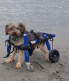 Walkin Wheels® SMALL Front Wheels Attachment-Dog Wheelchairs-Walkin Wheels- Silver Circle Pets