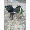 Walkin Wheels® SMALL Rear Dog Wheelchair (3.5 - 11kg)-Dog Wheelchairs-Walkin Wheels- Silver Circle Pets