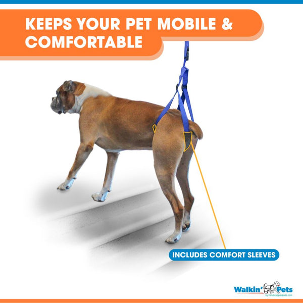 Walkin’ Wheels - Up-n-Go Leash-Dog Harness-Walkin Wheels- Silver Circle Pets