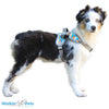 Walkin Wheels® - Walkin' Warrior Front Harness-Dog Wheel Chair-Walkin Wheels- Silver Circle Pets